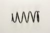 ROVER 22102563 Coil Spring
